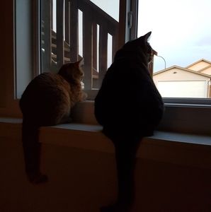 Meet your Posher, Maggie